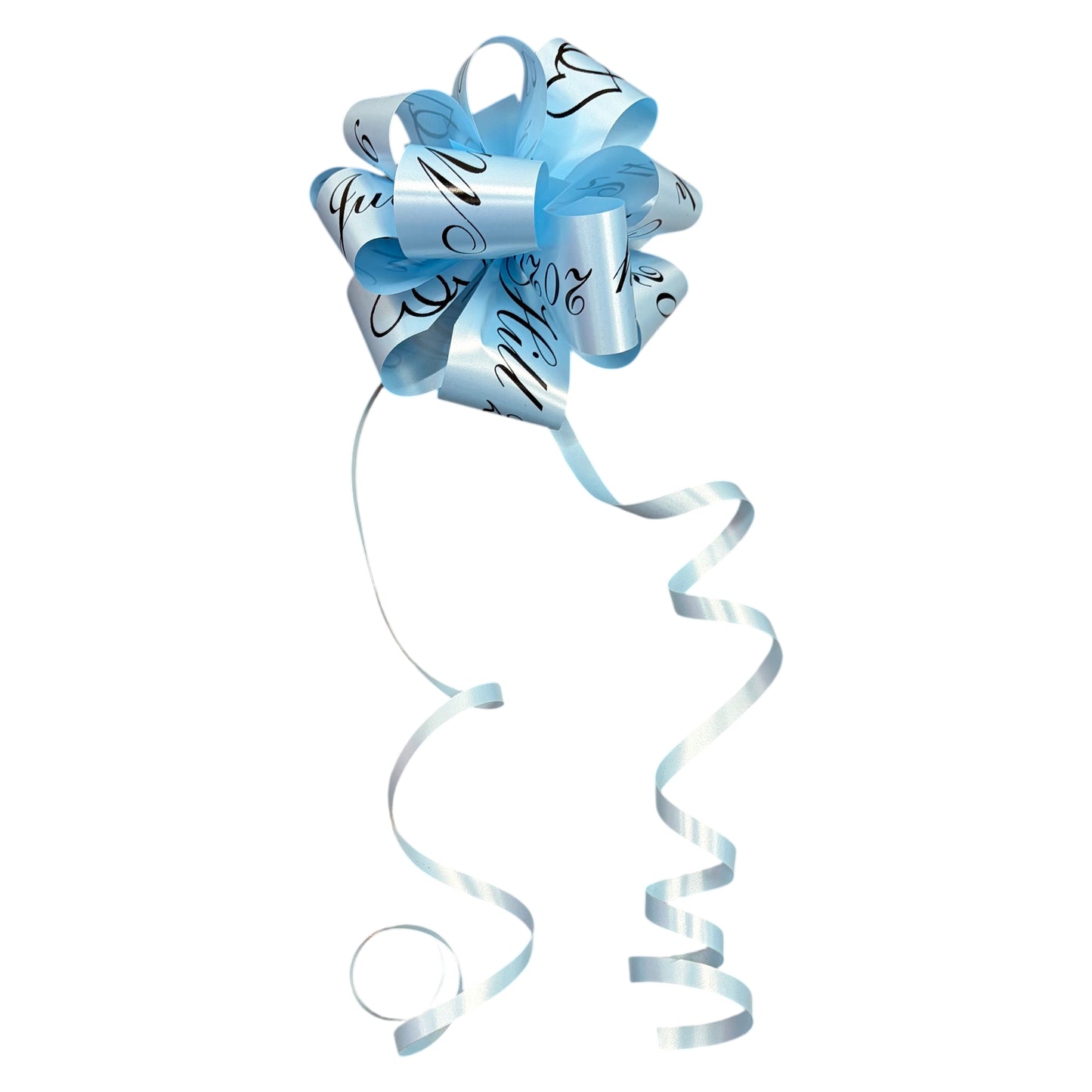 Baby Blue Personalised Handmade Wedding Car Door Bow