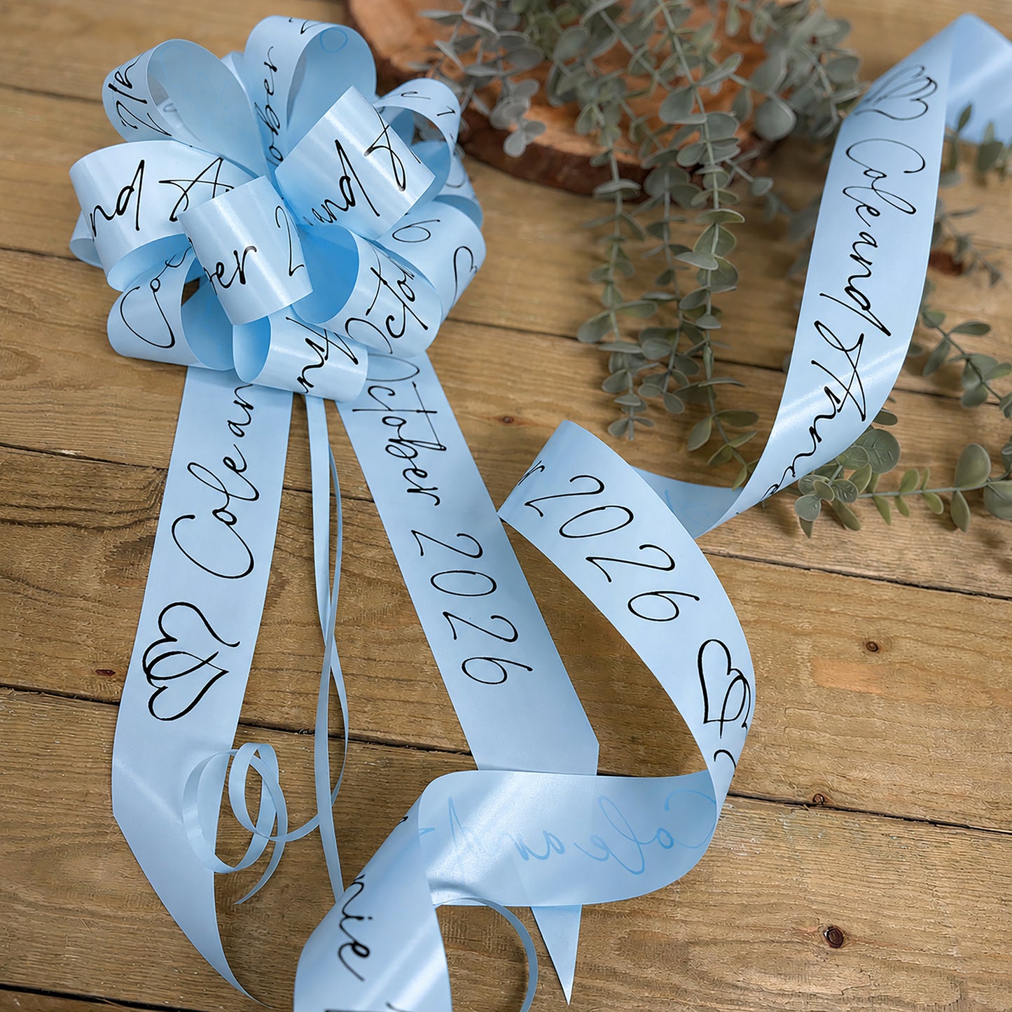 Baby Blue Personalised Wedding Car Kit