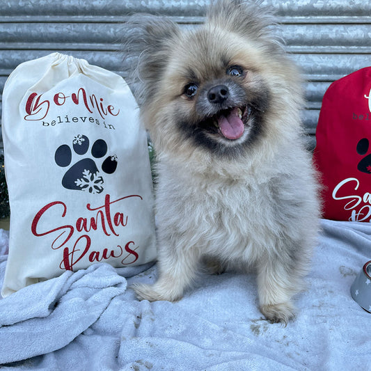 Personalised Pet Christmas Gift Bag