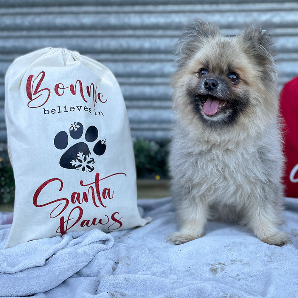 Personalised Pet Christmas Gift Bag