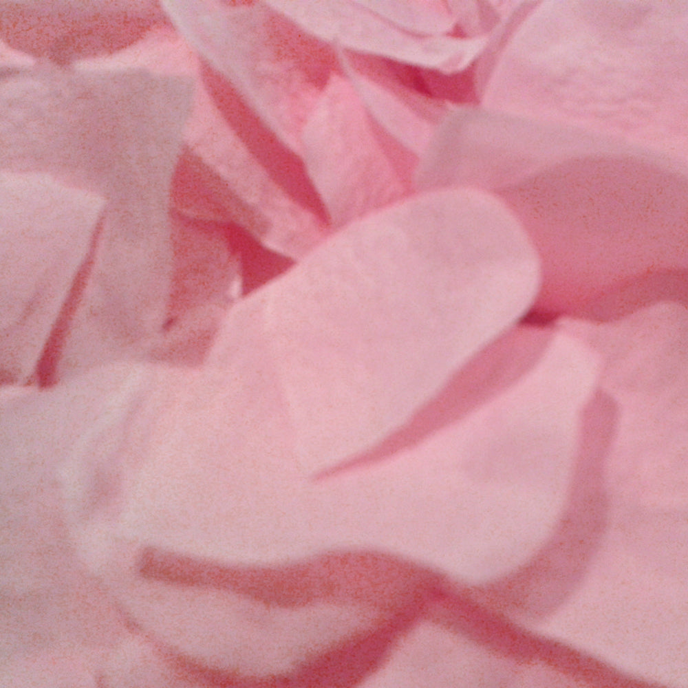 Pink Decorative Petals x 1000