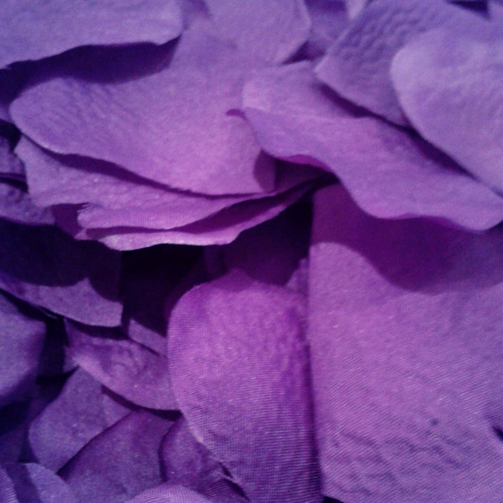 Purple Decorative Petals x 1000