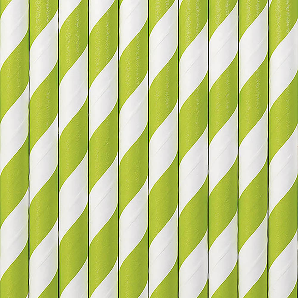 Green Stripe Paper Straws x 10